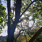 αρμονία ορεινή κορινθία * Krionérion