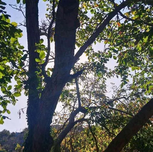 αρμονία ορεινή κορινθία * Krionérion