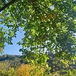 Vila αρμονία ορεινή κορινθία Krionérion