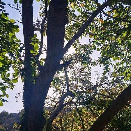 αρμονία ορεινή κορινθία * Krionérion