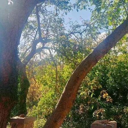 αρμονία ορεινή κορινθία *