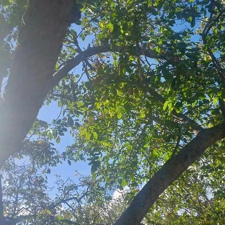 αρμονία ορεινή κορινθία * Krionérion