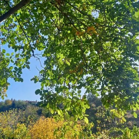 Villa αρμονία ορεινή κορινθία Krionérion