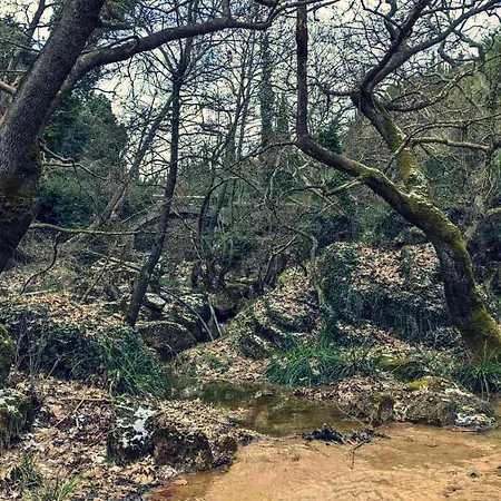 αρμονία ορεινή κορινθία *