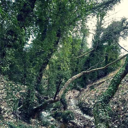 αρμονία ορεινή κορινθία *