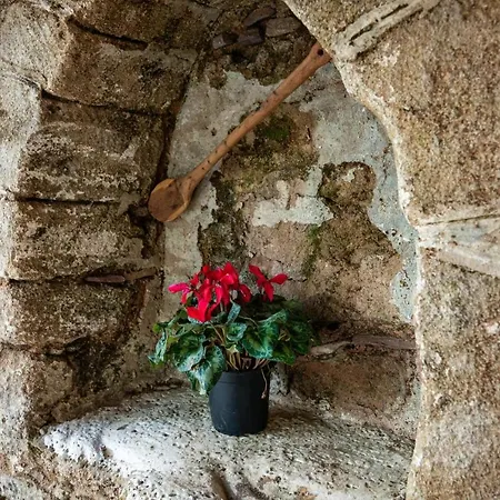 Villa αρμονία ορεινή κορινθία *