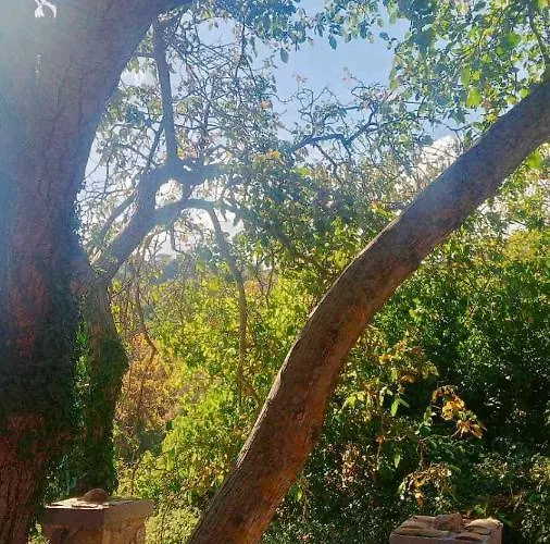 αρμονία ορεινή κορινθία *