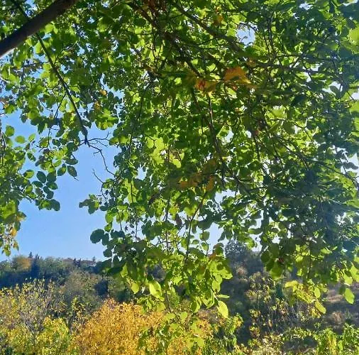 Villa αρμονία ορεινή κορινθία Krionérion