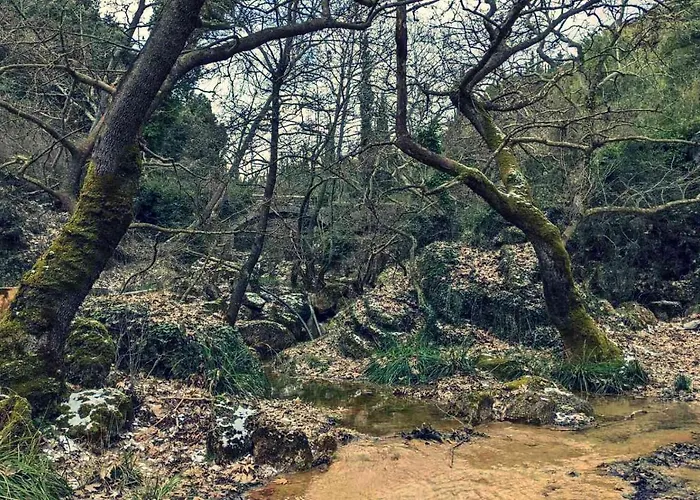 αρμονία ορεινή κορινθία *