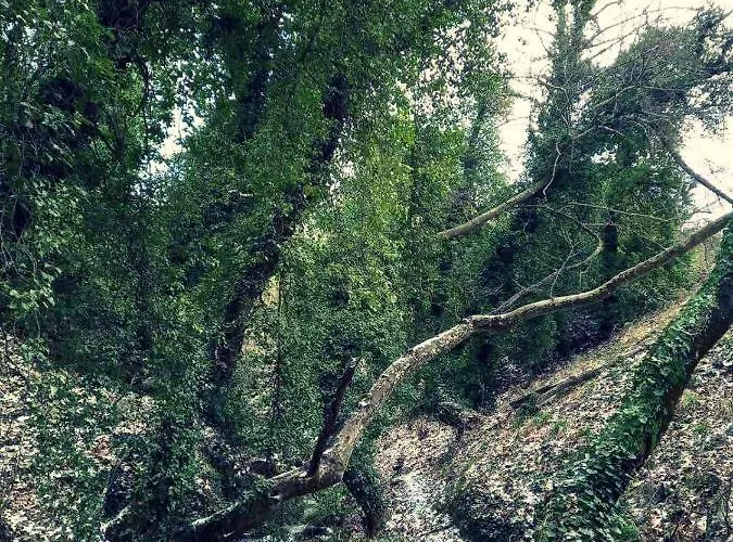 αρμονία ορεινή κορινθία *